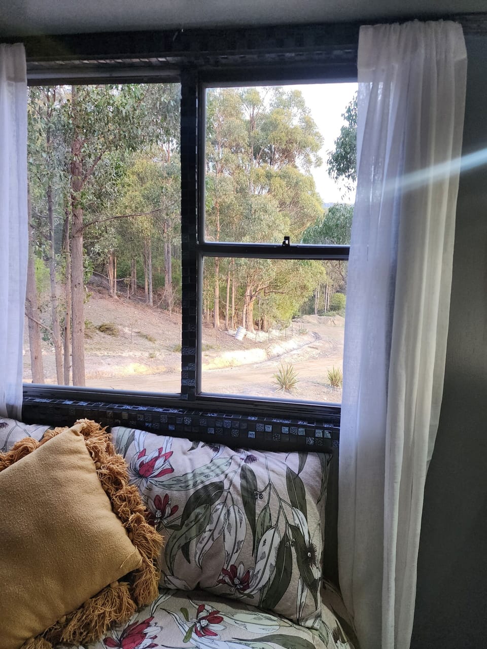 The view from the Futon bed or sofa