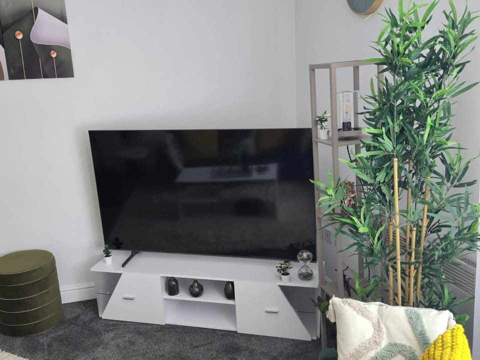 Apartment | Living area | TV