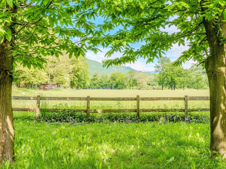 Green, Grass, Grassland, Land Lot, Plain, Pasture, Field, Rural Area, Fence, Meadow