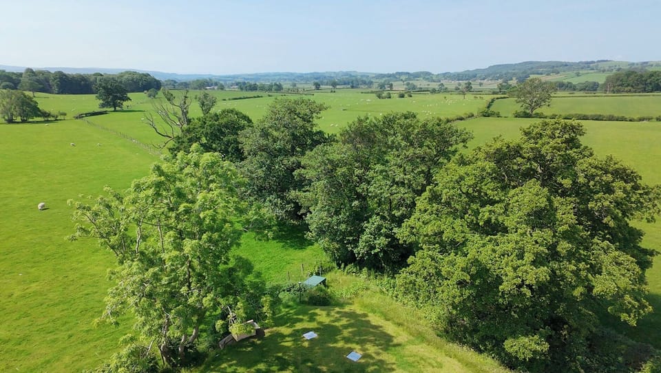 Cottage | Aerial view