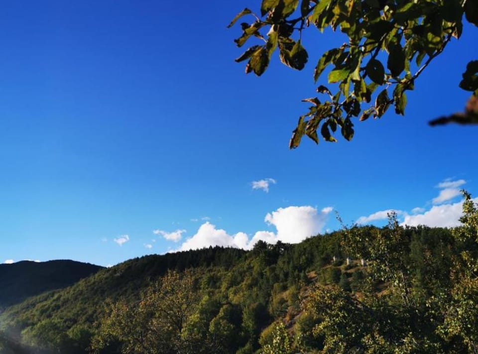 House (Two Bedroom Apartment Tomislav) | Exterior