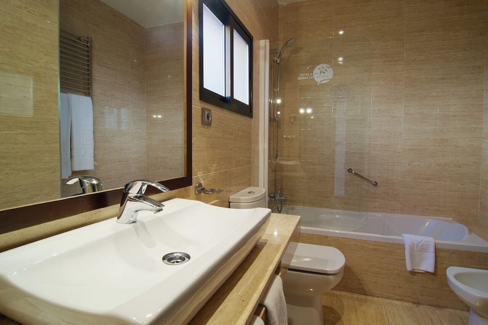 Hair dryer, bidet, towels
