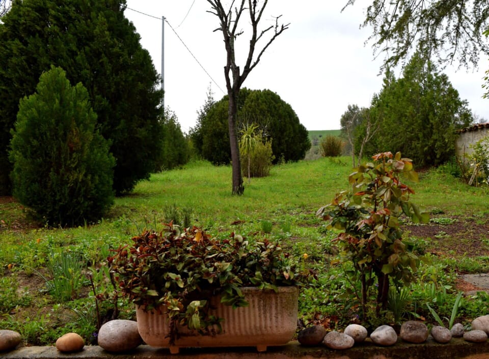 Autumn, Building Exterior, Spring, Summer