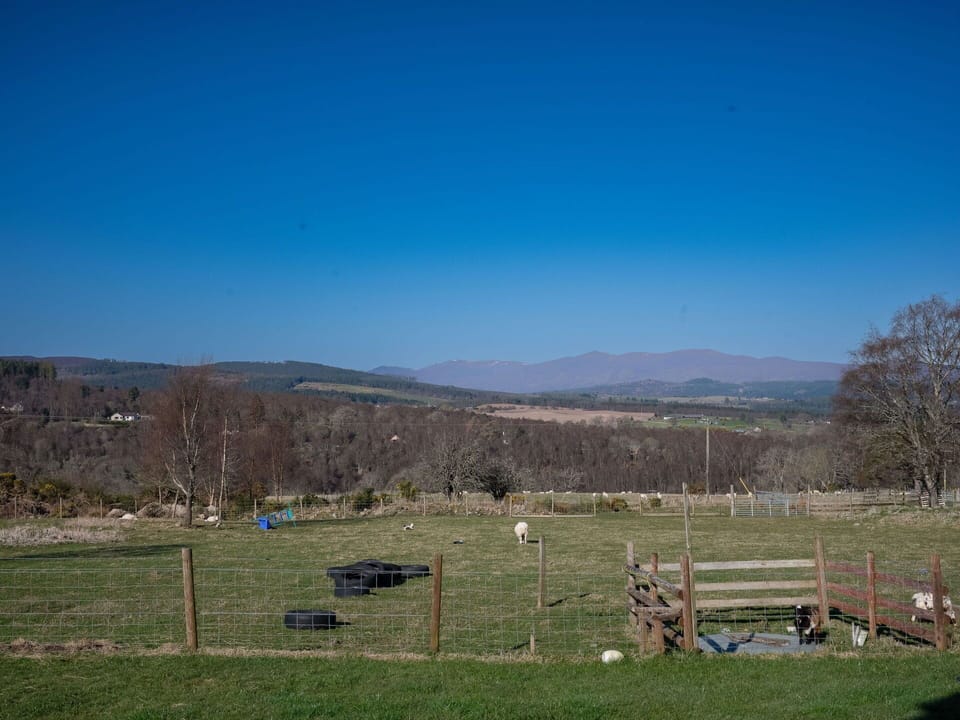 Shrub, Residential Area, Home, Estate, Garden, Lawn, Landscaping, Yard, Mansion, Villa