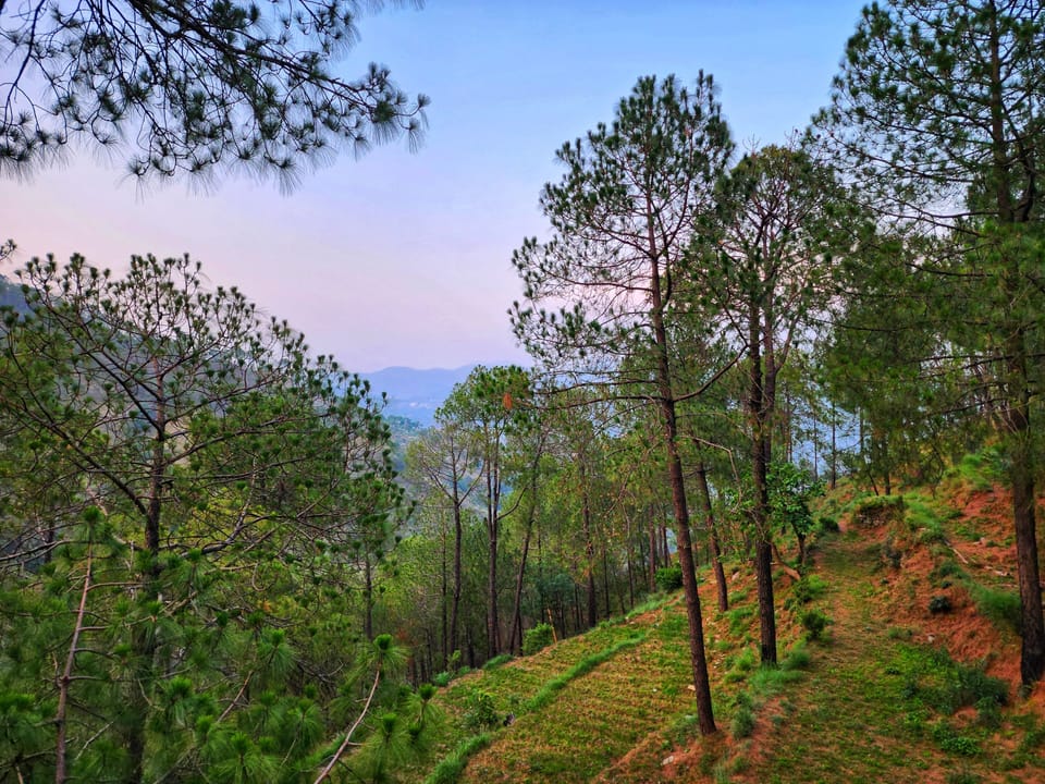 Premium Room, Balcony, Mountain View | View from room