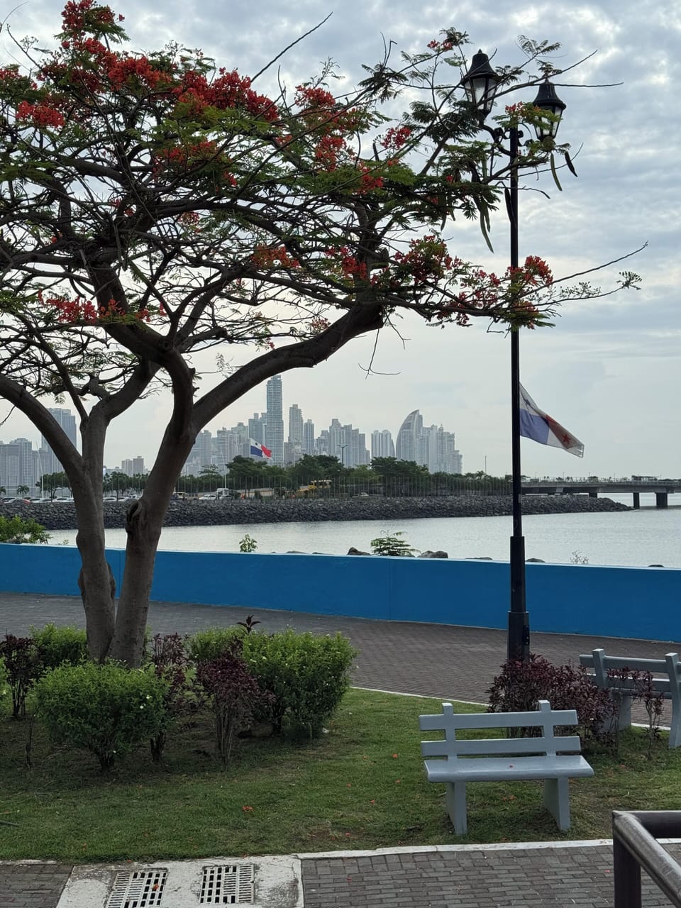 View from property
