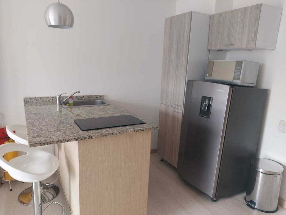 Standard Apartment, City View | Private kitchen | Microwave, blender, griddle, cookware/dishes/utensils