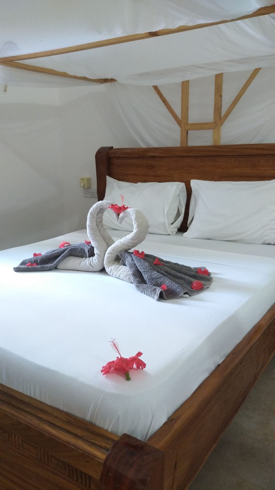 Comfort Double Room, Garden View | Free WiFi