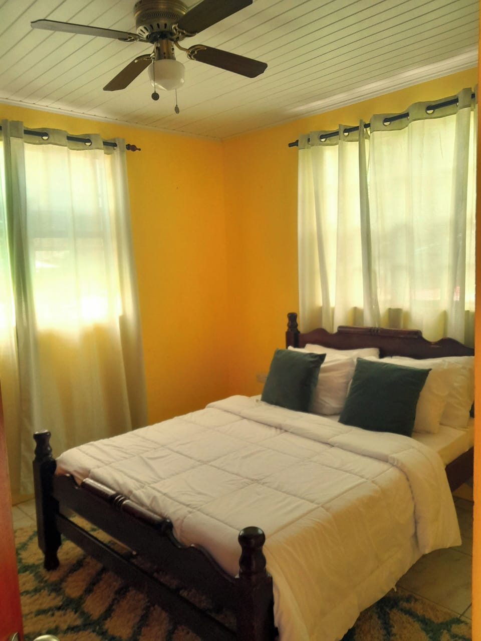 Pinard's Vacation Home Apartment in Dominica