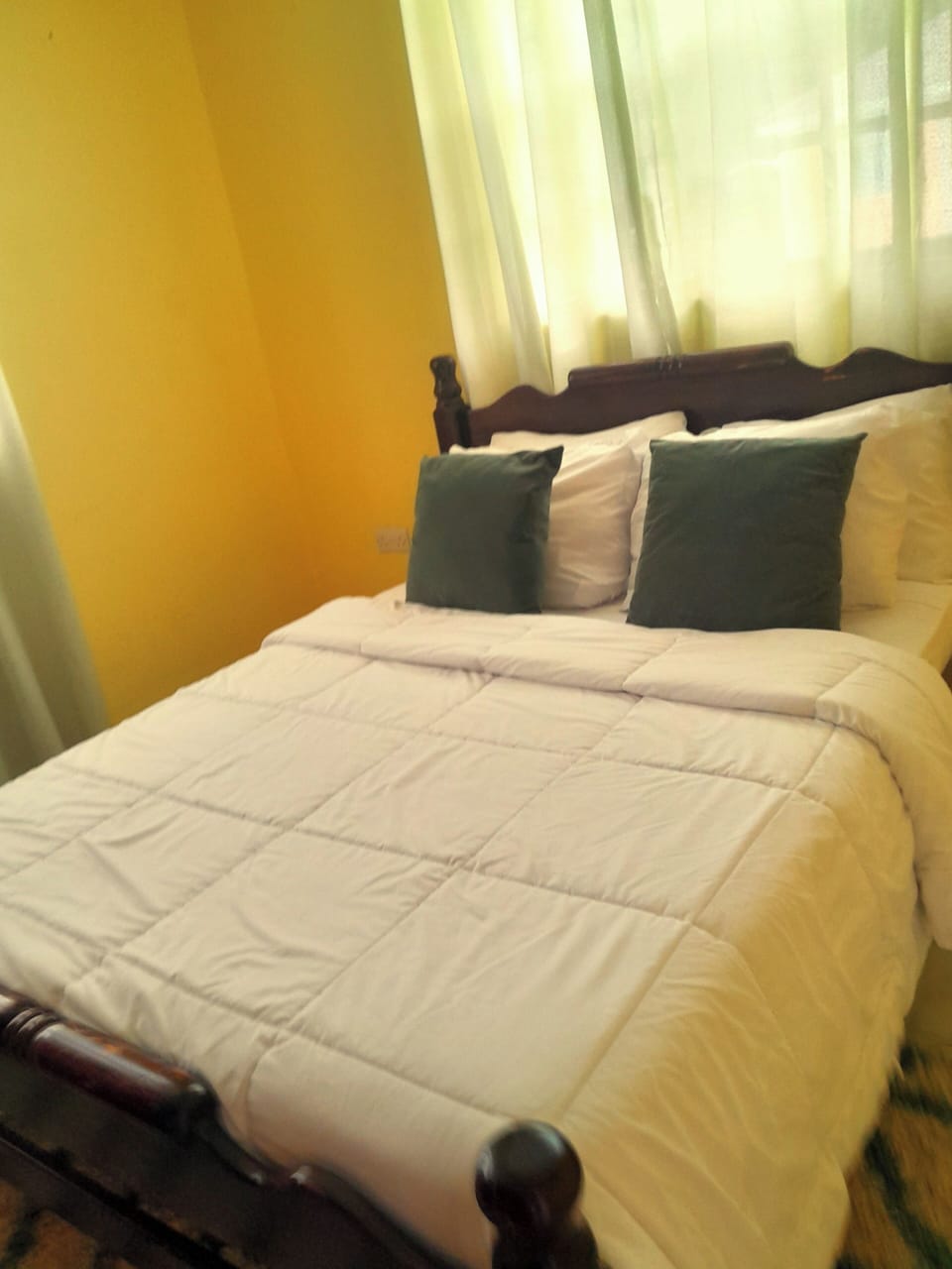Pinard's Vacation Home Apartment in Dominica