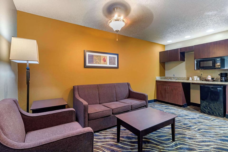 Business Suite, 1 King Bed with Sofa bed, Non Smoking, Jacuzzi | Desk, iron/ironing board, free cribs/infant beds, free rollaway beds