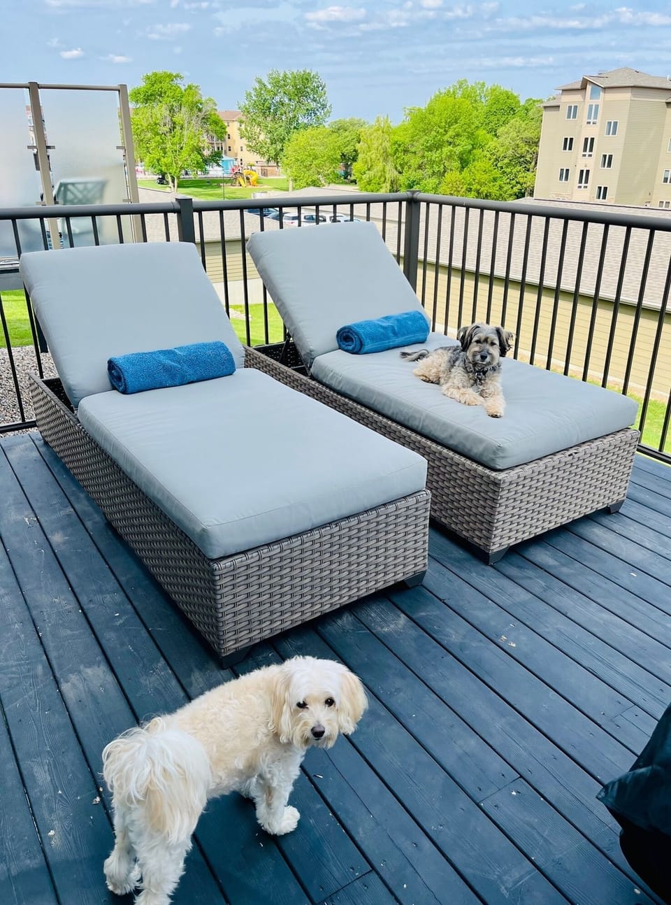 Loungers