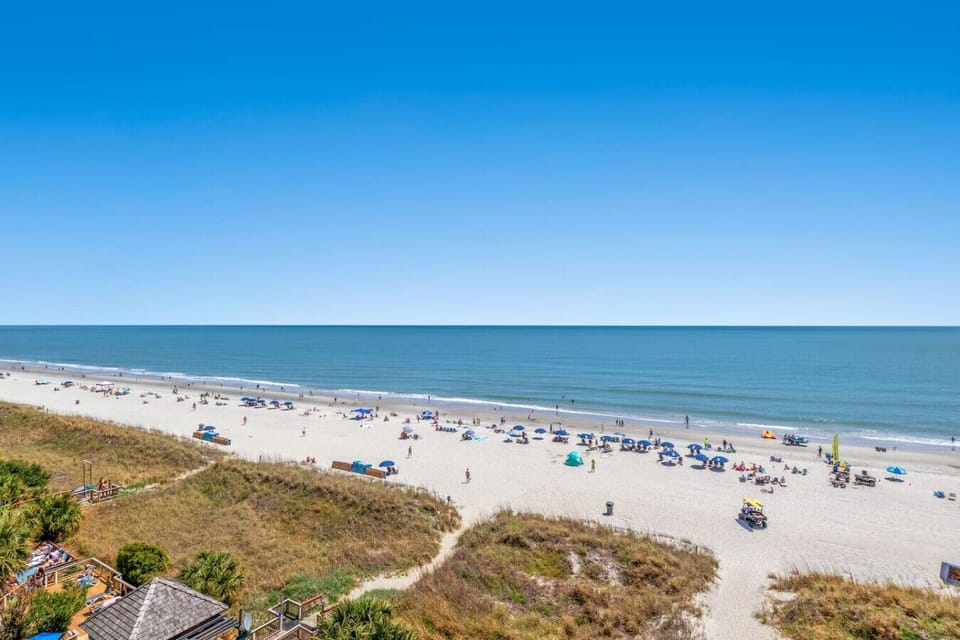 Soft sand, endless blue — the beach is calling.