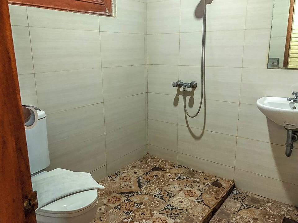 Deluxe Room, 1 Double Bed | Bathroom | Shower, towels, soap, shampoo
