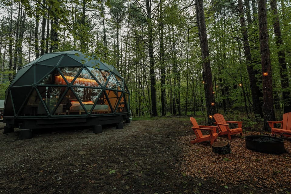 Enjoy a beautiful evening outside among the trees