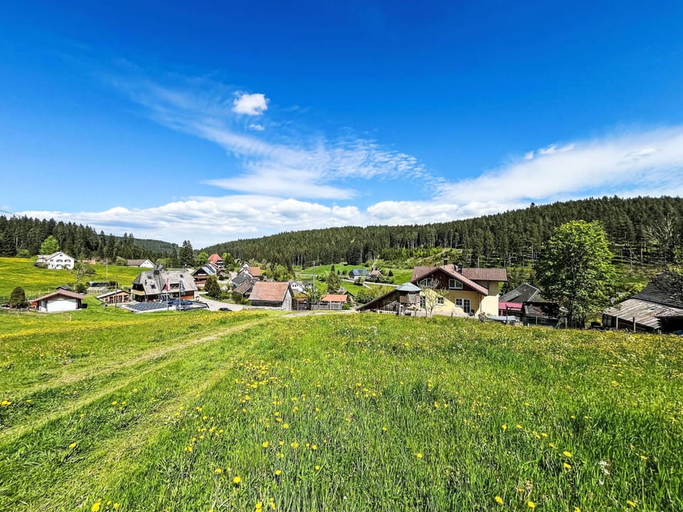 Grass, Summer, Landscape, Grassland, Meadow, Land Lot, Rural Area, Spring, Field