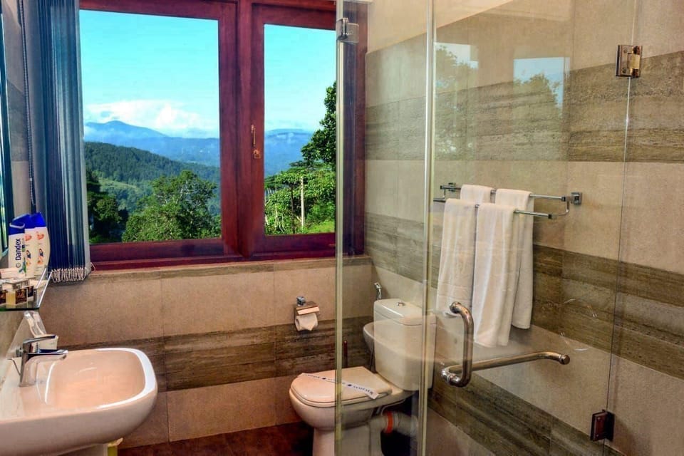 Bathroom shower