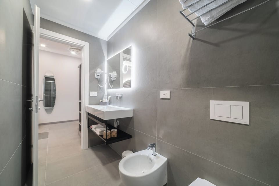 Deluxe Double Room, 1 King Bed | Bathroom | Shower, eco-friendly toiletries, hair dryer, bidet