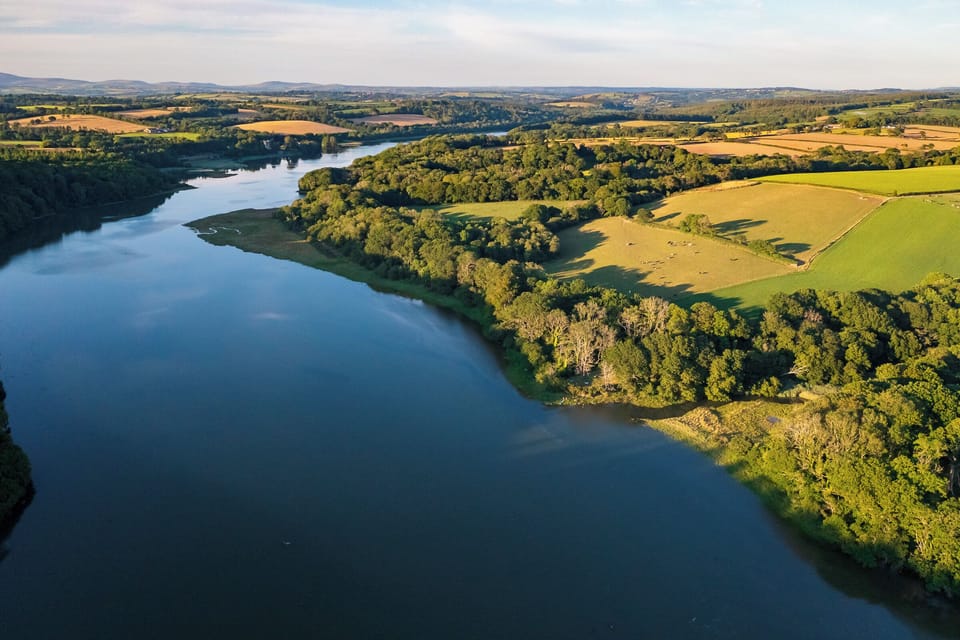 Cleddau Estuary (2)