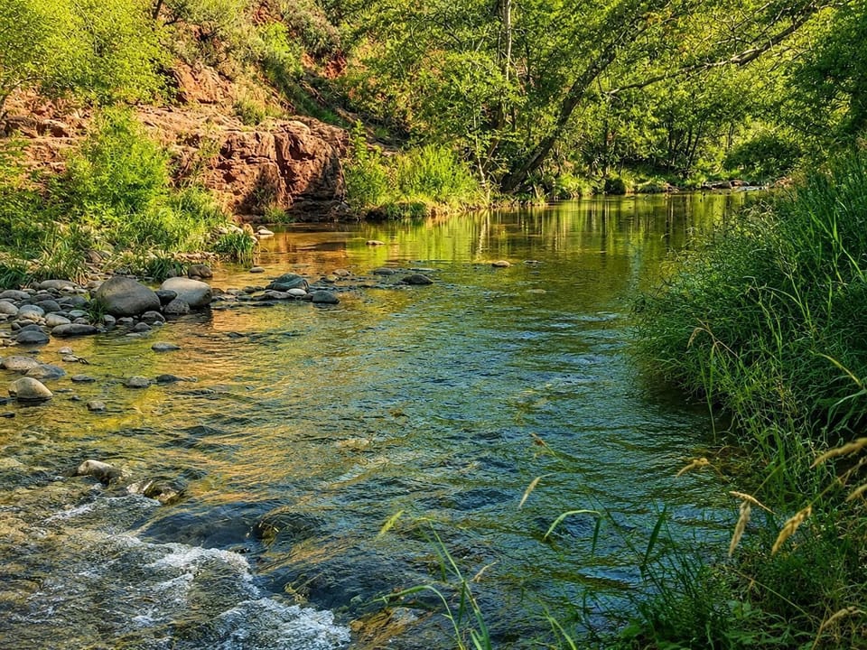 A serene creek winds through lush greenery — nature's own backyard right at your doorstep