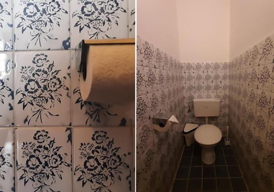 Shower, hair dryer