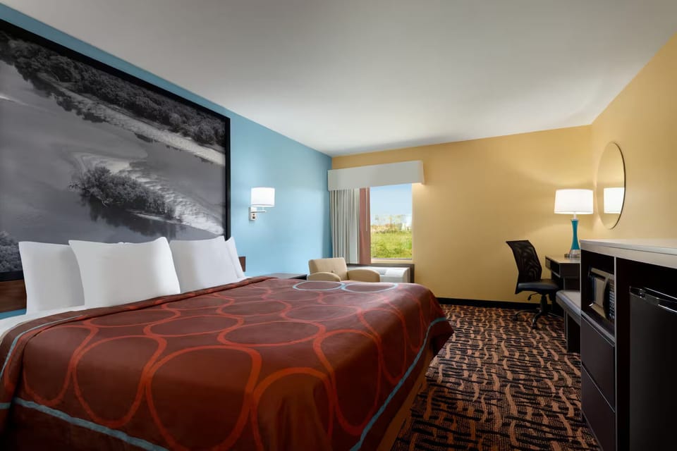 Single Room | Desk, blackout drapes, iron/ironing board, free WiFi