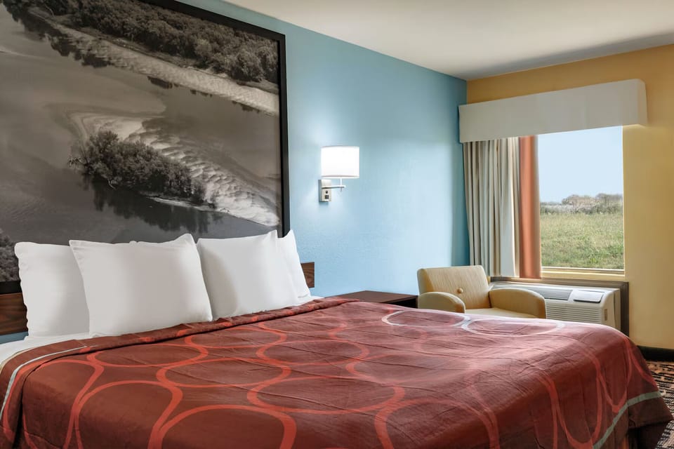Single Room | Desk, blackout drapes, iron/ironing board, free WiFi