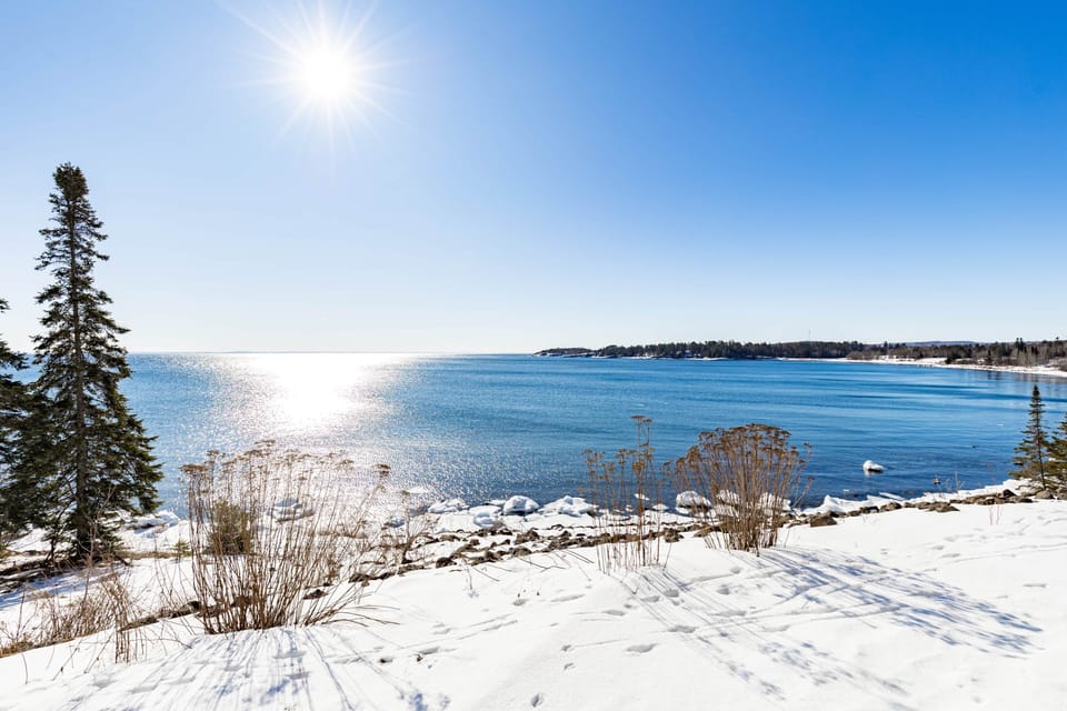 Whispering Pines 214