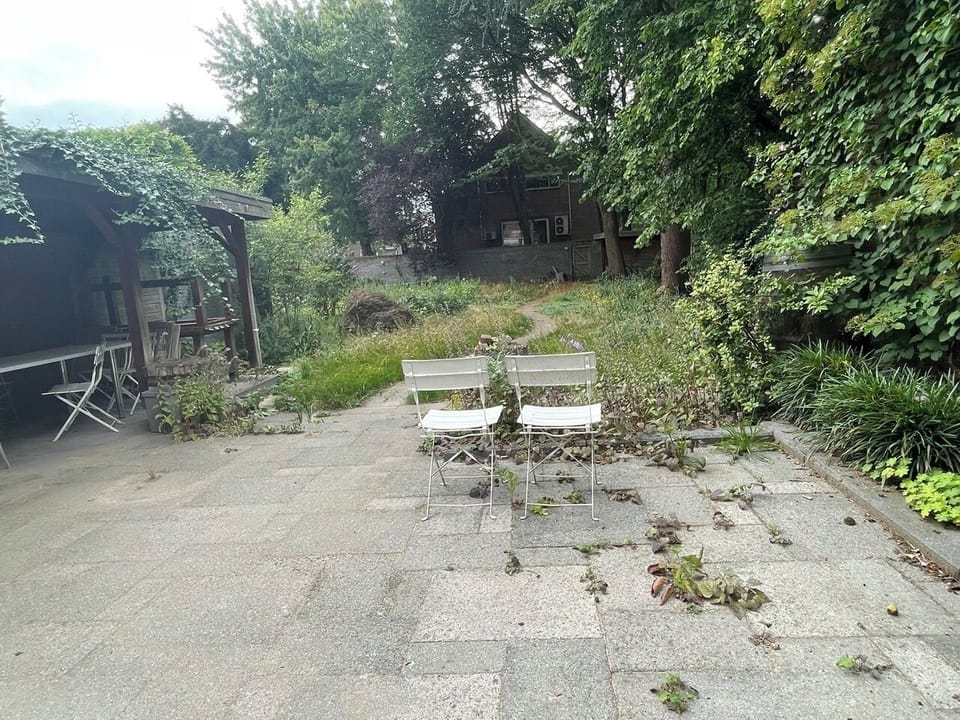 Peaceful garden with plenty of greenery and a cozy seating area — a quiet outdoor spot to relax, read, or enjoy your morning coffee.