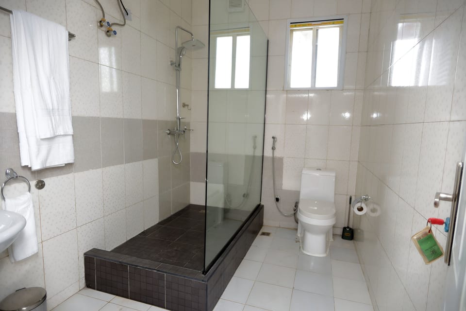 Towels, soap, shampoo, toilet paper