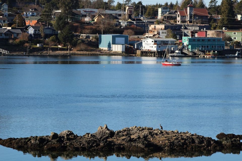 Downtown Ucluelet from our yard