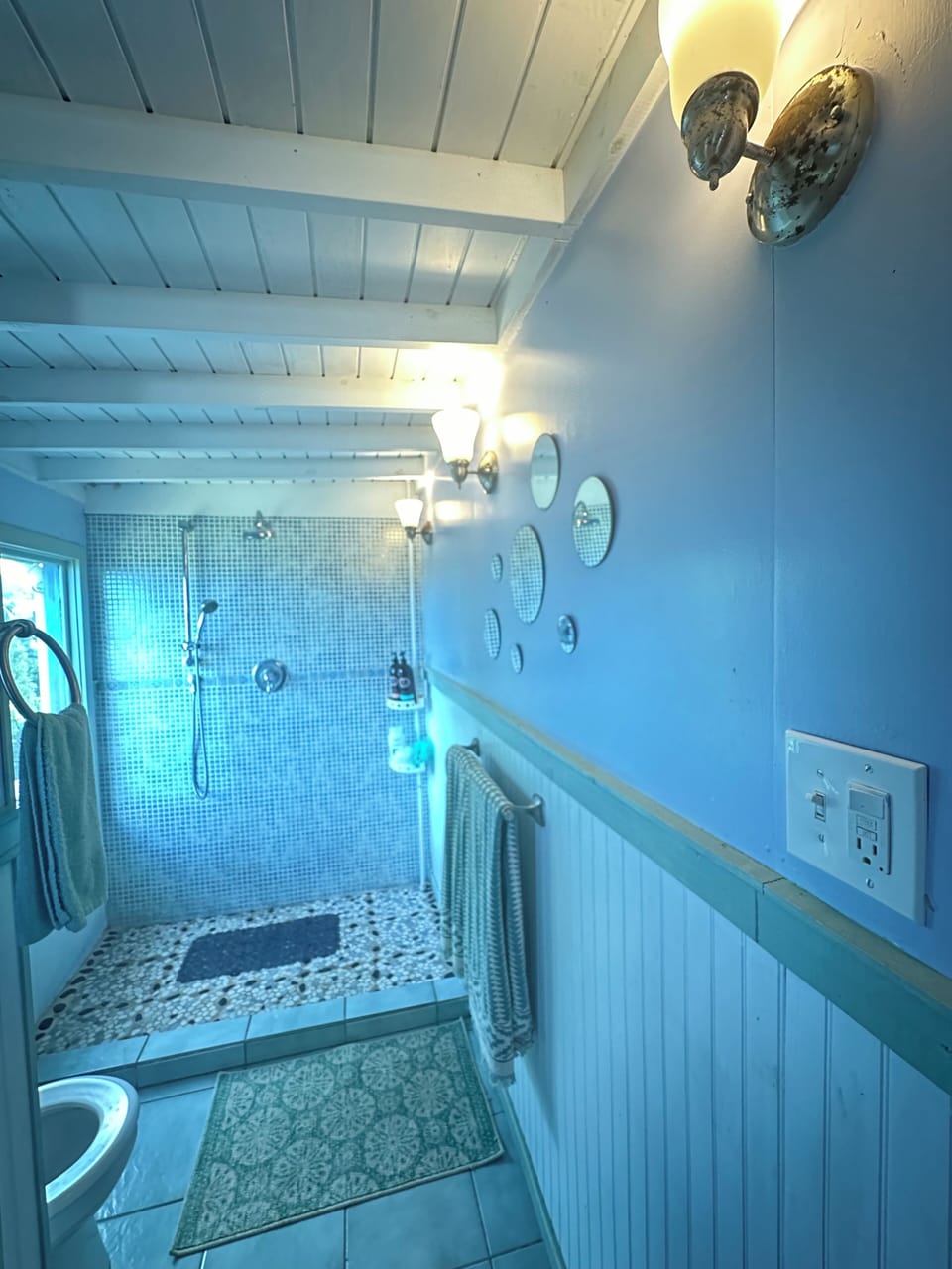 En-suite master bath (3x5 window/double-headed shower)