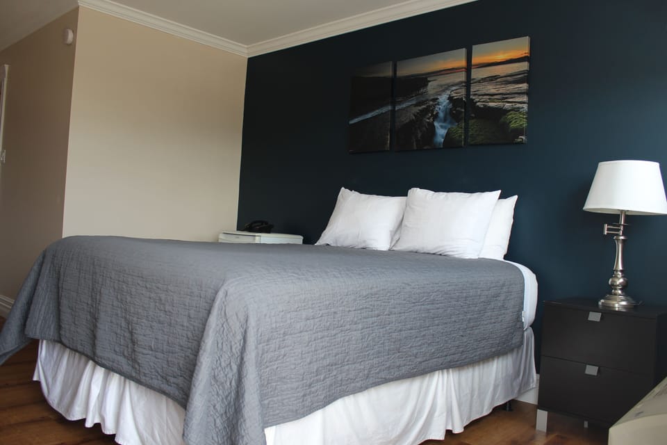 Standard Studio, Non Smoking, Pets Allowed | Free WiFi