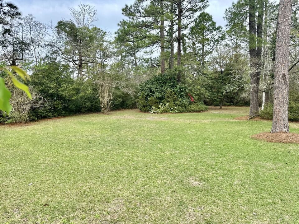 Well-Manicured Backyard