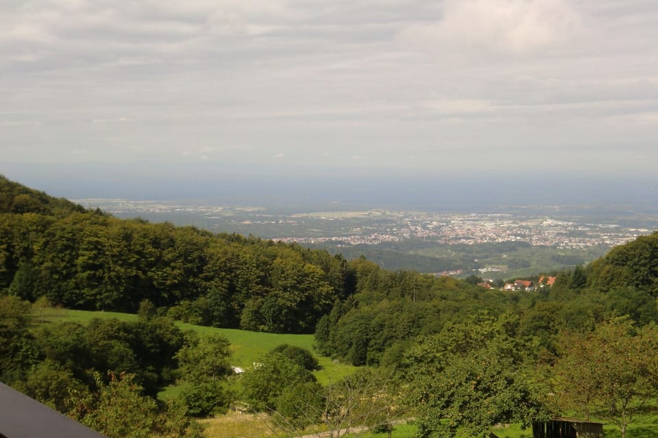 View from property
