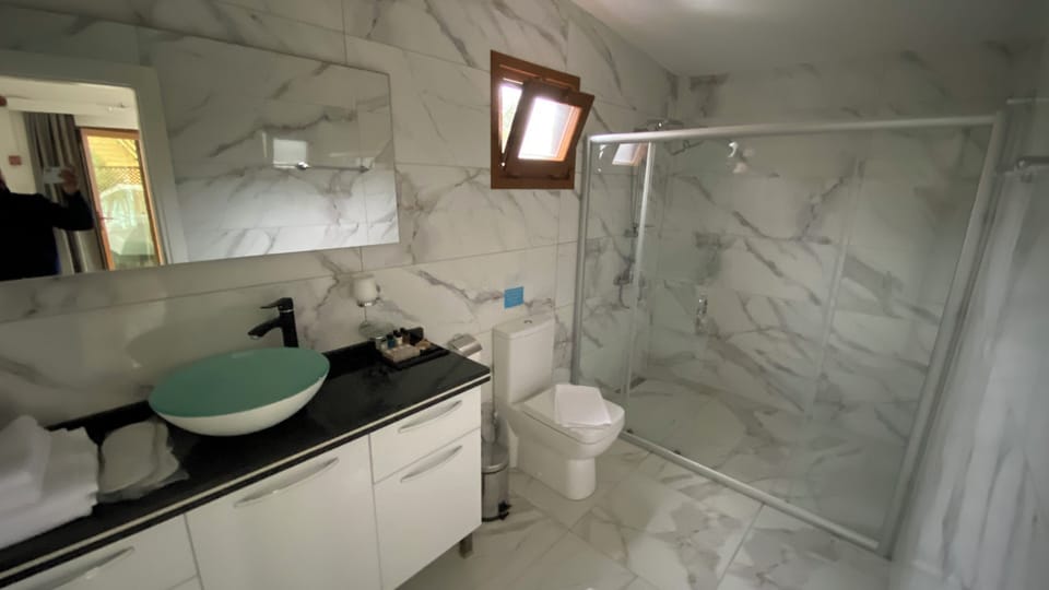 Standard Suite, 1 Queen Bed with Sofa bed, Partial Ocean View | Bathroom | Shower, hair dryer, towels, soap