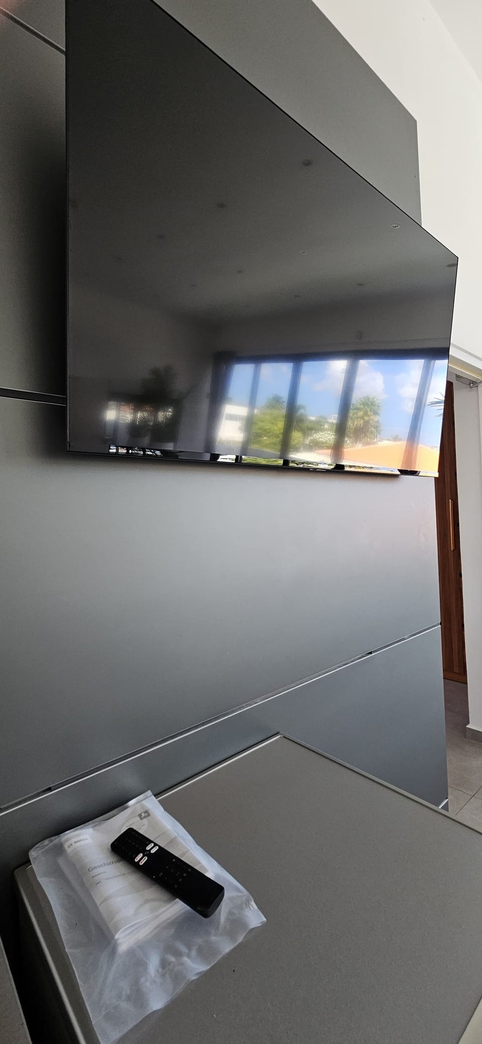 Television