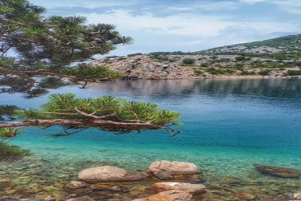 Region [summer] (>5 km)
