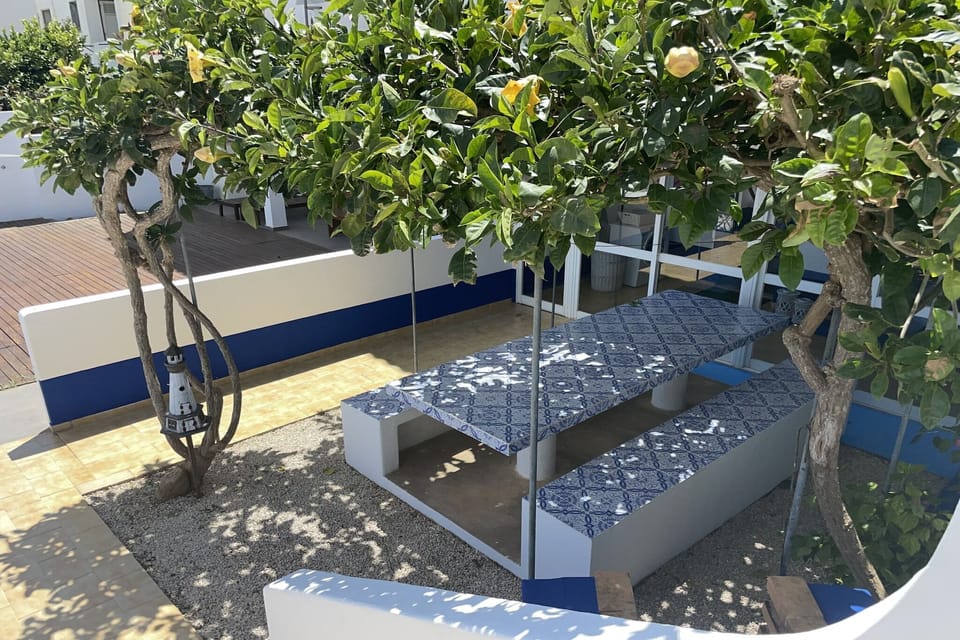 Garden [summer]