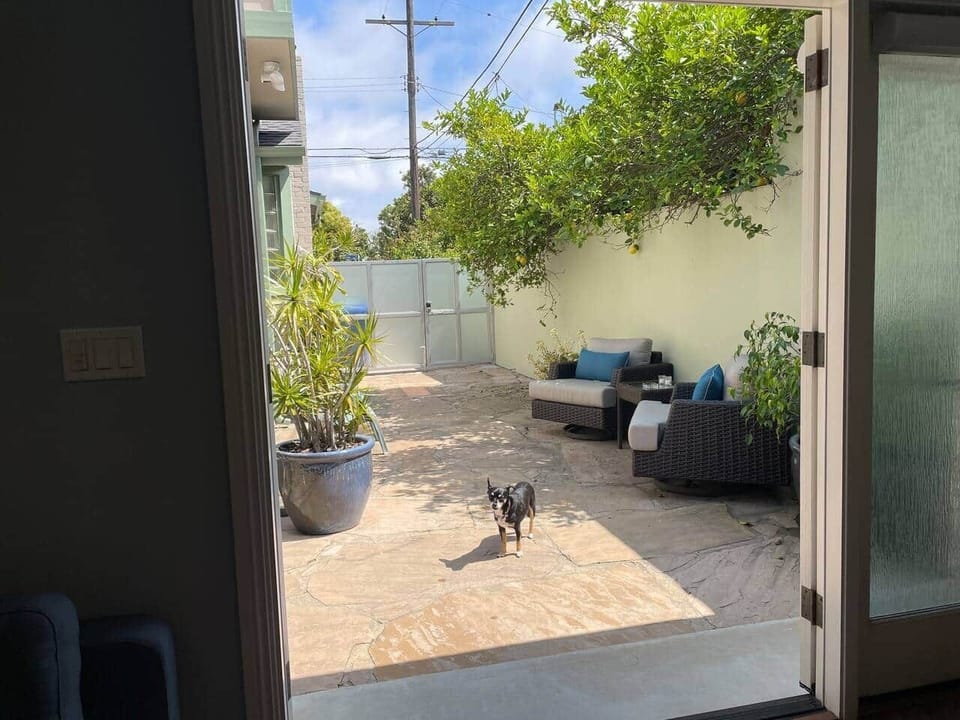  A view to the patio from inside the cottage.