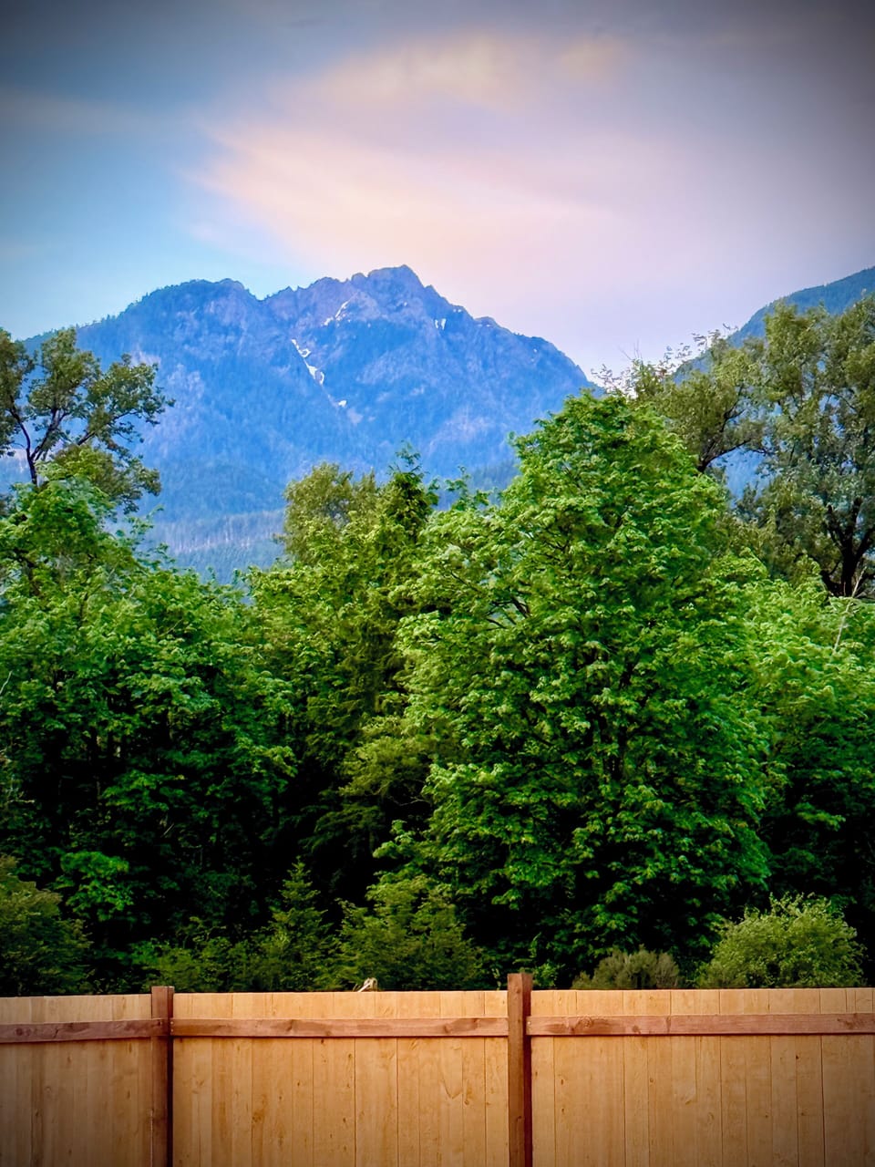 Stunning Backyard Views!