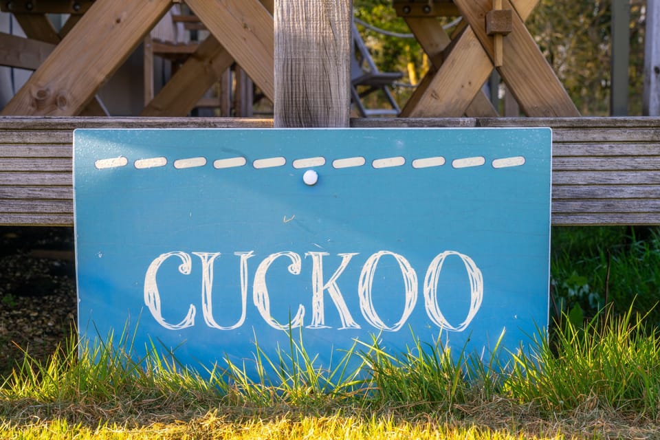 Cuckoo