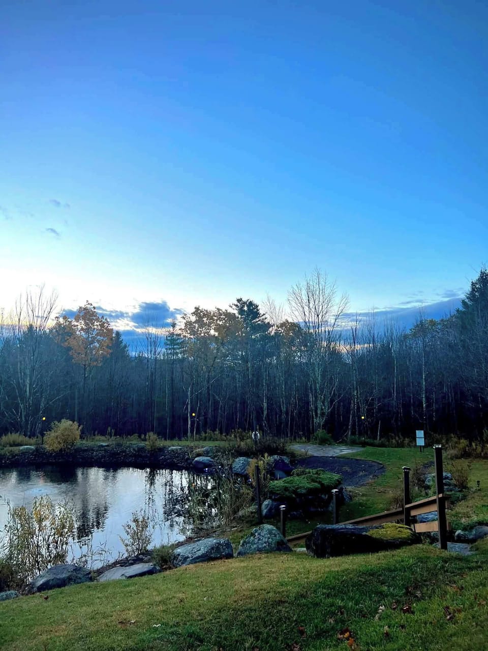 Your summer evening view of the Natural Swimming Pond!