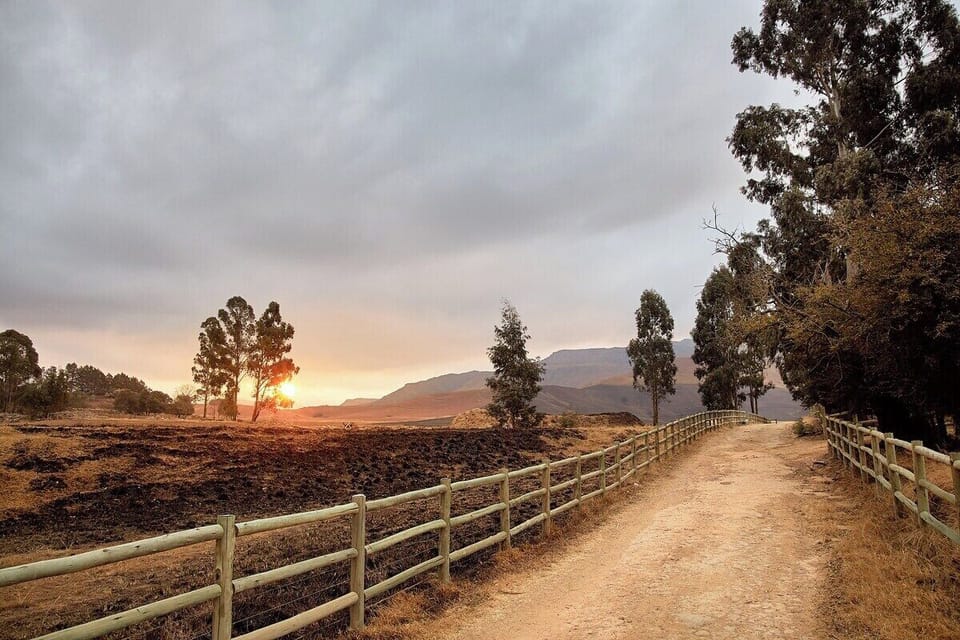 Dog-friendly Farm Cottage in the Berg (713)