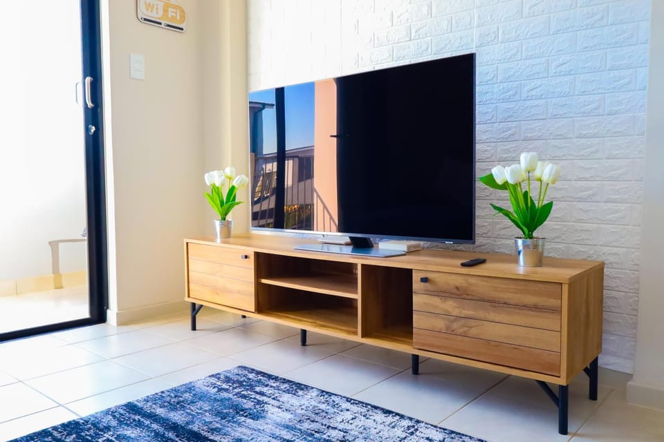 Television