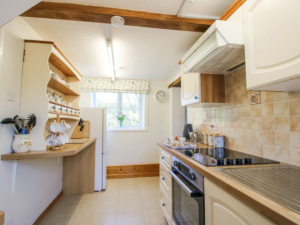 Fridge, microwave, toaster, cookware/dishes/utensils