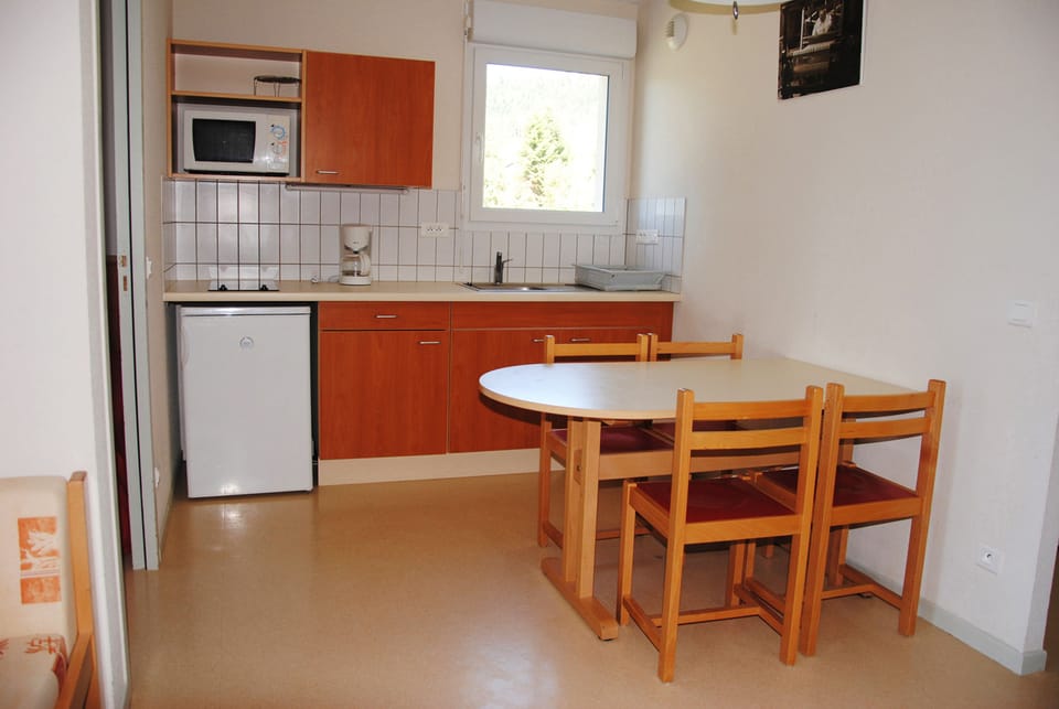 Apartment, 1 Bedroom | Private kitchenette | Fridge, microwave, stovetop, coffee/tea maker