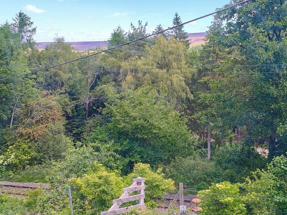 Surrounding area | Railway Cottage, Stanhope, near Bishop Auckland
