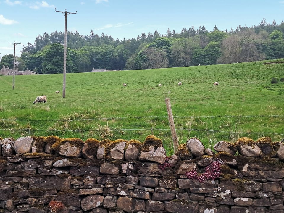 Double bedroom | Railway Cottage, Stanhope, near Bishop Auckland