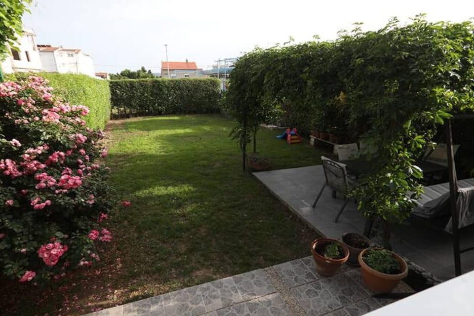Garden [summer]